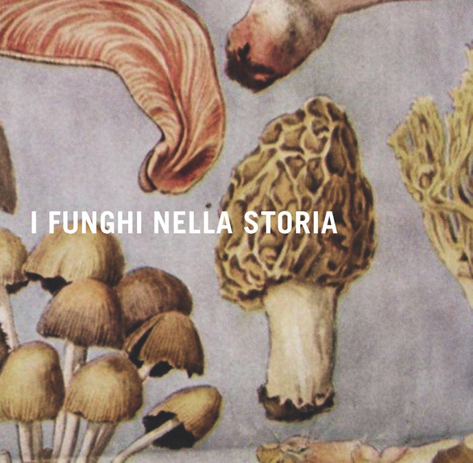 Andrea Brunori e Alessandro Cassinis – I funghi nella storia